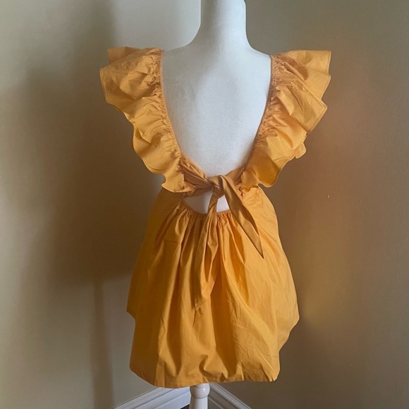 SHOWPO Raiza Ruffle Sleeve Tie Back Plunge Mini Dress - Picture 7 of 13